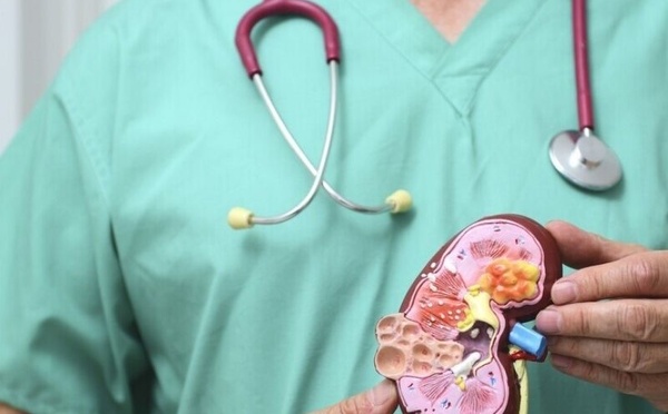 لماذا يعاني مرضى الكلى المتقدم من اضطرابات هضمية خطيرة؟