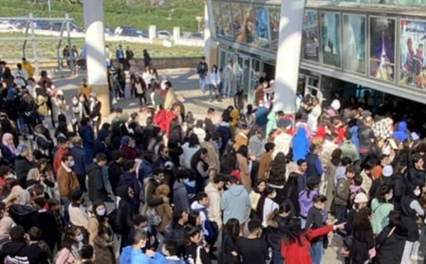 موسم سينمائي واعد ينتظر القاعات السينمائية الوطنية في 2026