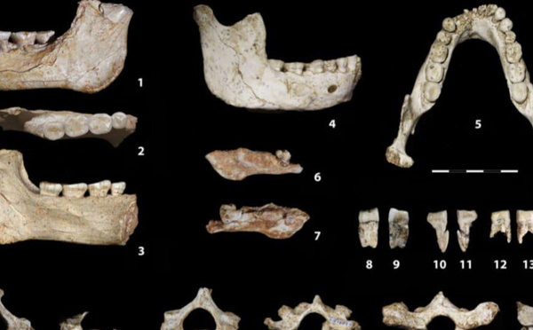 اكتشاف بقايا بشرية قديمة بالدار البيضاء يسلط الضوء على مرحلة حاسمة في تطور البشرية