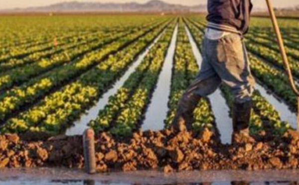 المغرب يعلن الخروج من دائرة الجفاف بعد سبع سنوات من الضغط المائي