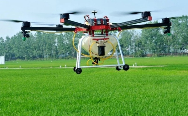 الصين تدخل الزراعة الذكية بقوة عبر نموذج ذكاء اصطناعي جديد