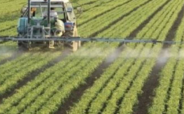 البرلمان يعيد فتح ملف “مخطط المغرب الأخضر”: تقييم الحصيلة واستشراف آفاق الأمن الغذائي