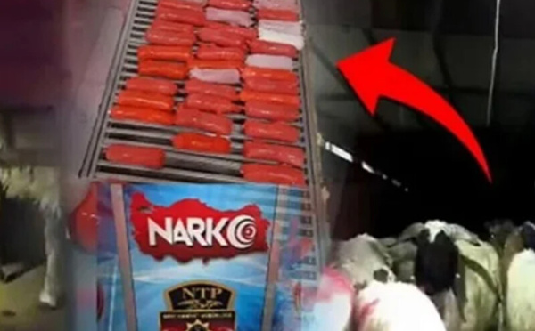 تهريب صادم في تركيا: ضبط مخدرات داخل بطون حيوانات يكشف أساليب إجرامية غير مسبوقة