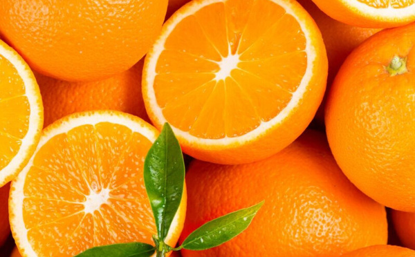 بعد سنوات من  التراجع : البرتقال المغربي يستعيد مكانته في الأسواق الدولية