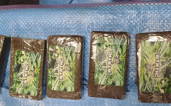 إحباط محاولة تهريب أزيد من 8 قناطير من مخدر الشيرا بميناء الدار البيضاء