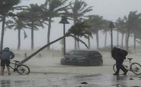 عاصفة شتوية استثنائية تجتاح الولايات المتحدة وتتسبب بانقطاعات واسعة للكهرباء وتعطّل الرحلات الجوية