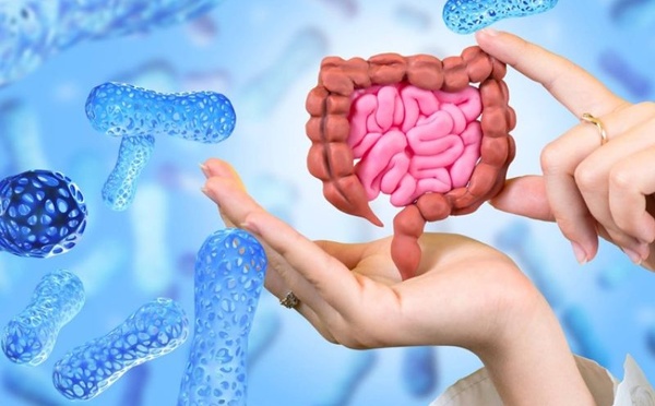 بكتيريا الأمعاء والشيخوخة: دراسة جديدة تفتح آفاقًا صحية واعدة