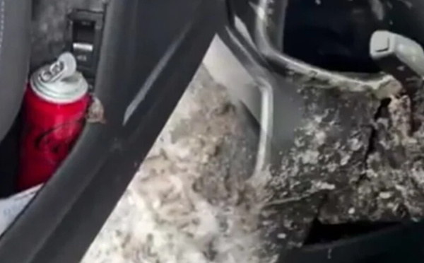 انفجار علبة كوكاكولا بسبب البرد يتسبب بأضرار داخل سيارة في تركيا