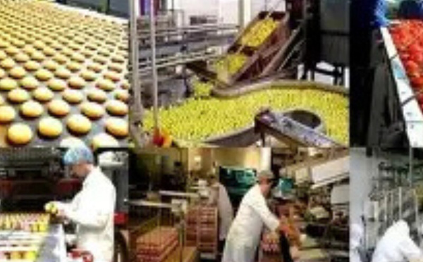 ​الاستثمار الإيطالي في المغرب: فرص صناعية وطاقة وتكنولوجيا