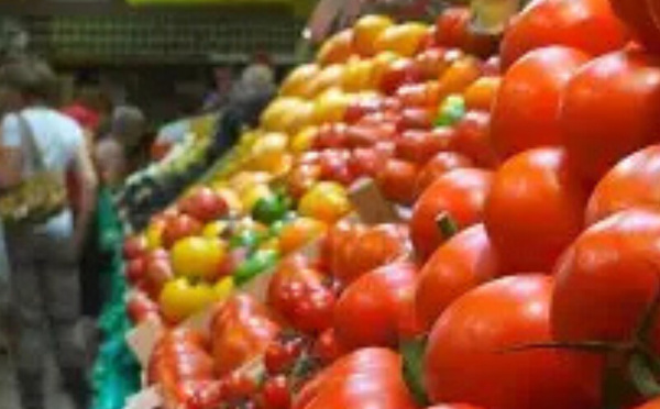 المغرب يعيد رسم خارطة تزويد السوق البريطانية بالطماطم خلال عشرين سنة