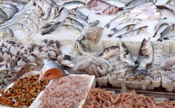 ارتفاع الأسعار وضعف الرقابة يعيقان استهلاك السمك في المغرب