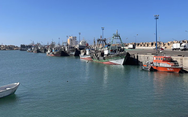 بأكثر من 381 مليون درهم… نشاط الصيد البحري بطرفاية يسجل انتعاشًا لافتًا