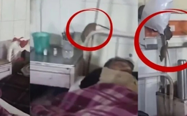 فيديو صادم يظهر فئراناً في جناح جراحة بمستشفى حكومي في أوتار براديش الهندية