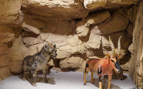 المنتزه الأركيولوجي سيدي عبد الرحمان… حين تقودك الخطوات إلى فجر الإنسانية