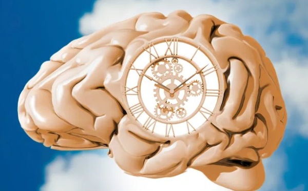 ساعتك البيولوجية… المفتاح الخفي لصحتك اليومية