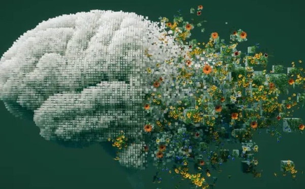 الذكاء البشري ليس في مكان واحد… دراسة ترسم خريطة جديدة لبنية الدماغ