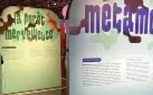 معرض «Métamorphoses» في غاليري إسباس إكسبريشن CDG: رحلة فنية في التحوّل والإبداع