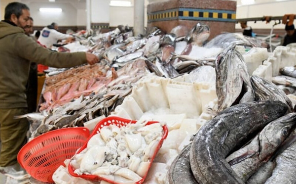 الأسماك في رمضان: وفرة مقبلة وأسعار متوقعة مع تحسن الأحوال الجوية
