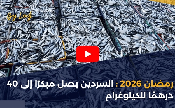 رمضان 2026: السردين يصل مبكرًا إلى 40 درهمًا للكيلوغرام