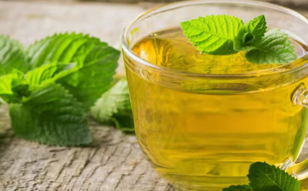 فوائد الشاي الأخضر بالنعناع: صحة ومتعة في كوب واحد