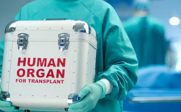 التبرع بالأعضاء في فرنسا: تحديات وفرص لإنقاذ المزيد من الأرواح