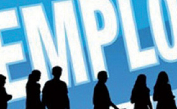 مشروع قانون جديد لتوسيع الإدماج المهني… تشغيل الشباب غير الحاصلين على شهادات في صلب الإصلاح