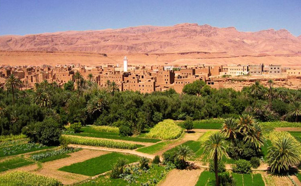 ​الحكومة تعتمد مرسومين لاستكمال إصلاح أراضي الجماعات السلالية وتسريع عملية التمليك