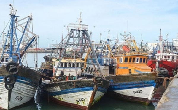 ميناء العيون يسجل انتعاشة قوية في مفرغات السردين بعد رفع الحظر