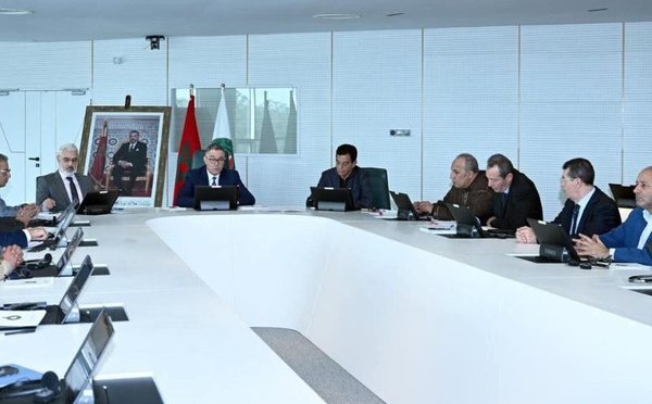 فوزي لقجع: اجتماع خاص لتقييم مشاركة المغرب في كأس الأمم الإفريقية