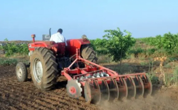 تساقطات مطرية استثنائية تنعش الآمال بموسم فلاحي واعد وتعزز مخزون السدود بالمملكة