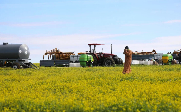 الشراكة بين الدولة والقطاع الخاص لتسيير الأراضي الفلاحية تحقق استثمارات مهمة وتدعم التنمية الزراعية