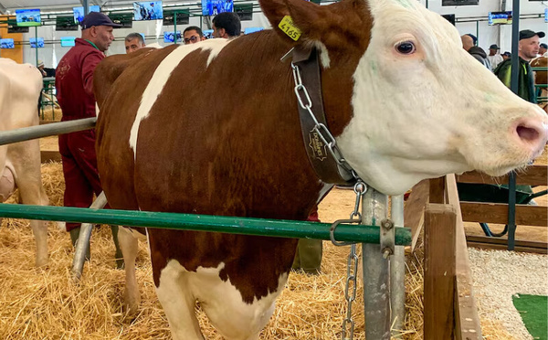 الخراطي : الفحص المنتظم والتدخل المنهجي السبيل الوحيد لاحتواء السل وحماية الصحة العامة