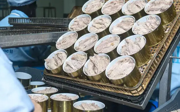 برشيد تحتضن أكبر مصنع لتعليب التونة بالمغرب بشراكة مغربية-إسبانية