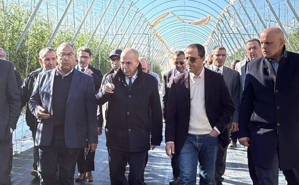 1500 هكتار متضررة من الرياح بسوس ماسة… والحكومة تبحث آليات الدعم