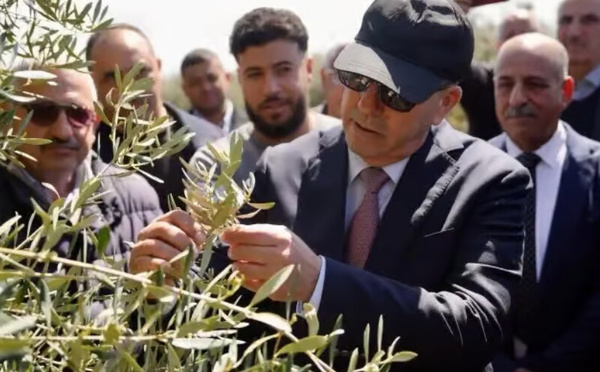 رياح قوية تضرب اشتوكة آيت باها.. وزير الفلاحة يقف على حجم الأضرار ويؤكد دعم المتضررين