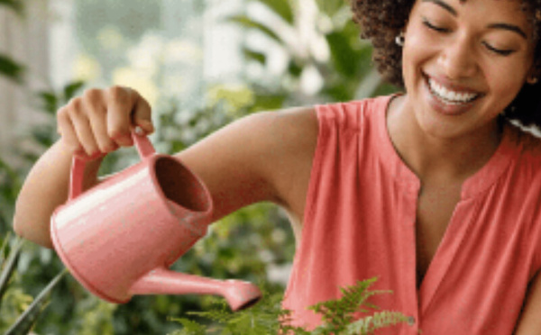 كيف تُحوّل النباتات المنزلية حياتك اليومية دون أن تشعر!