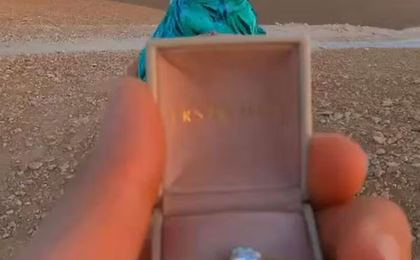 هل أصبح الزواج رفاهية في المغرب؟