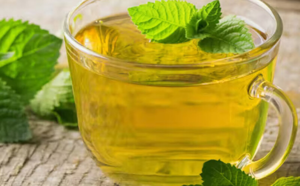 الشاي الأخضر بالنعناع: مشروب صحي ينشط الجسم ويعزز الهضم