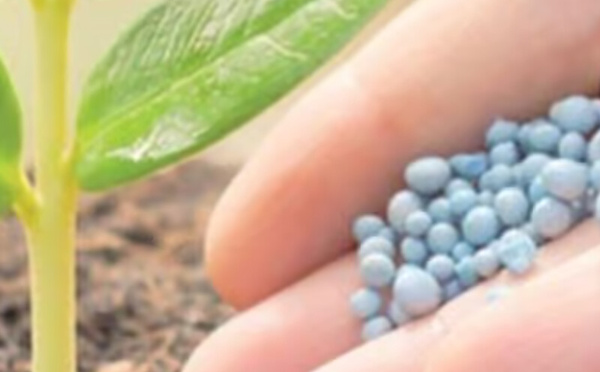 التوترات في الشرق الأوسط تربك سوق الأسمدة العالمية