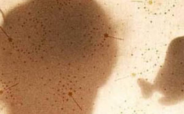 جمعيات في المغرب: ثلاثة مشاريع تضامنية تستحق الدعم خلال شهر رمضان