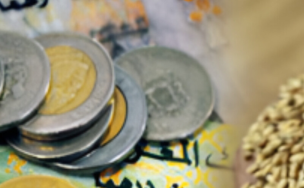 المجلس العلمي الأعلى يحدد مقدار زكاة الفطر لعام 1447هـ/2026م