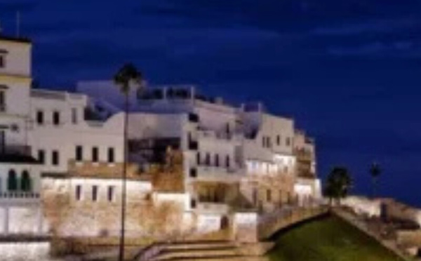 اقتصاد طنجة: تاريخ من الانفتاح التجاري والتحولات الاقتصادية