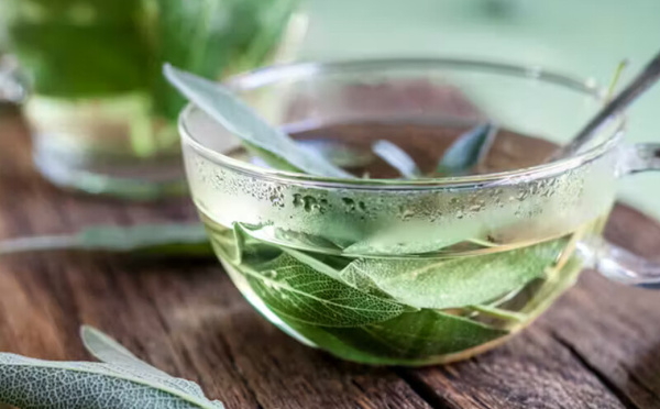 فوائد عشبة الميرمية في تخفيف الهبّات الساخنة أثناء سن اليأس