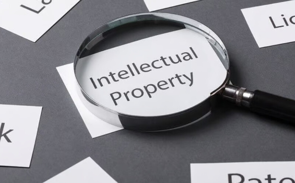 المغرب يتصدر إفريقيا في حماية الملكية الفكرية وفق مؤشر GIPC 2026