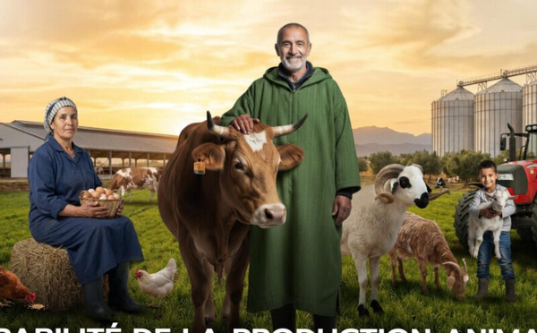 مكناس تحتضن الدورة الثامنة عشرة للمعرض الدولي للفلاحة : نحو استدامة الإنتاج الحيواني والسيادة الغذائية