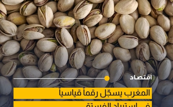 الطلب على الفستق بالمغرب يصل لأعلى مستوى تاريخي في 2025