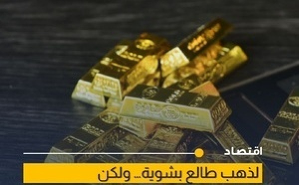 ارتفاع طفيف في أسعار الذهب مع استمرار التقلبات في الأسواق العالمية