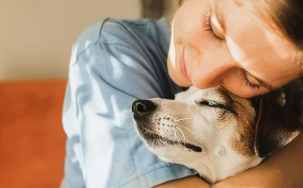 العلاقة بين الإنسان والحيوان وتأثيرها على الصحة النفسية