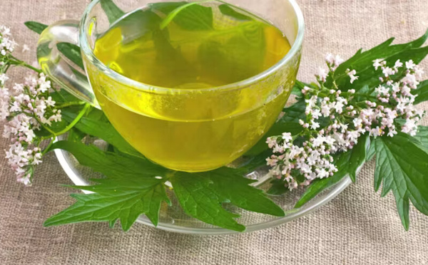 الناردين (Valériane) وفوائده في تحسين النوم وتقليل التوتر