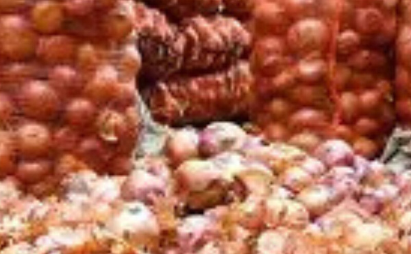 المغرب: ارتفاع أسعار البصل وأثره على المستهلكين